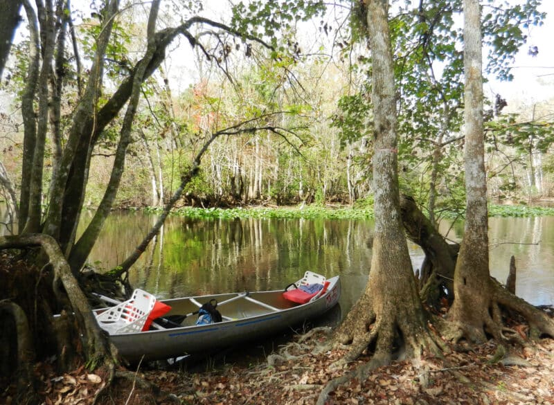 Paddling on the Ocklawaha.