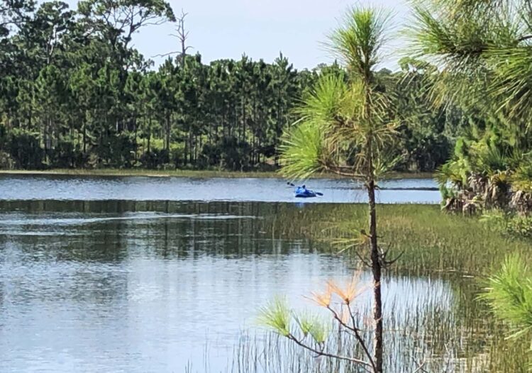 At Palm Beach County’s Okeeheelee Park, you can bike, walk or kayak through a wetland. (Photo: Deborah Hartz-Seeley)