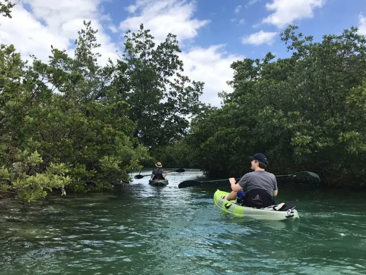 parks in south florida oleta paddlers The best parks in South Florida