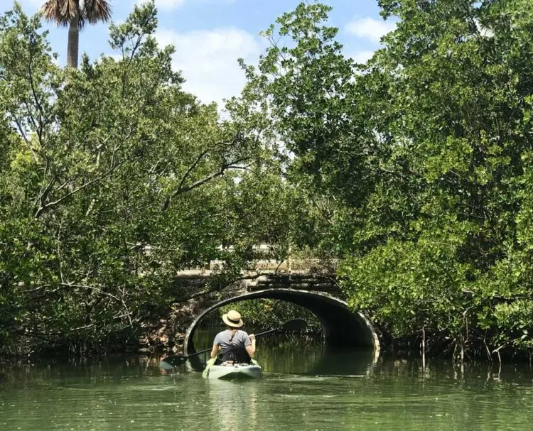 best kayaking in south florida oleta tunnel Ten best kayaking spots in South Florida