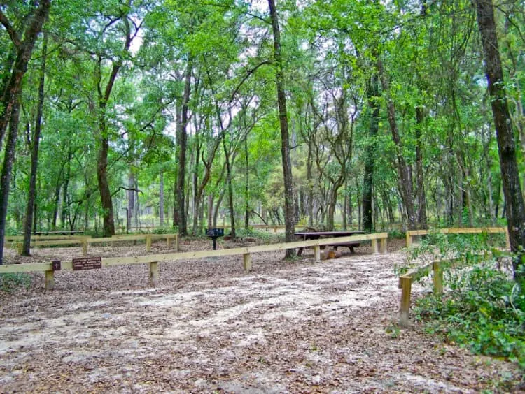ocala national forest camping onf lake delancey Ultimate guide to Ocala National Forest camping