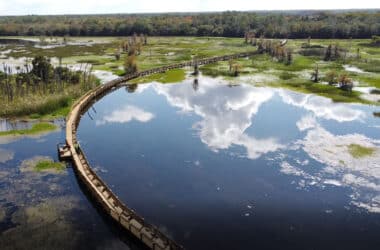 Boardwalk at Orlando Wetlands Park (Photo: City of Orlando)