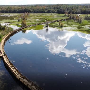 Boardwalk at Orlando Wetlands Park (Photo: City of Orlando)