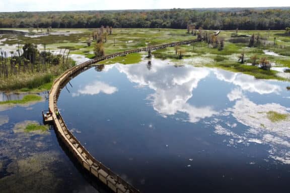 Boardwalk at Orlando Wetlands Park (Photo: City of Orlando)