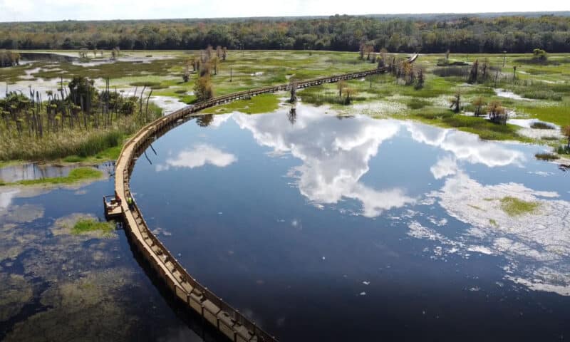 Boardwalk at Orlando Wetlands Park (Photo: City of Orlando)