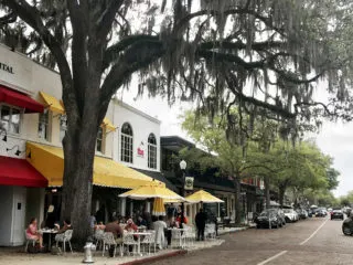 Things to do in Winter Park FL: Park Avenue is full of charm and beauty. It’s a pleasure to stroll. (Photo: Bonnie Gross)