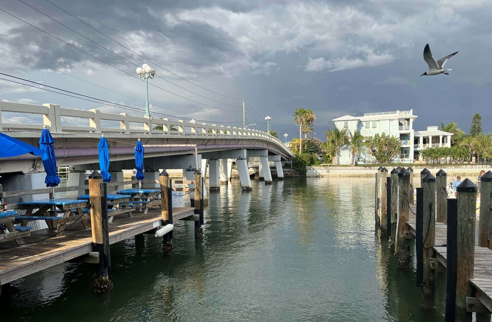 Pass-a-Grille, one of Florida’s best beaches in a charming historic town 4 Pass-a-grille pass a grille sea critters Pass-a-Grille, one of Florida’s best beaches in a charming historic town