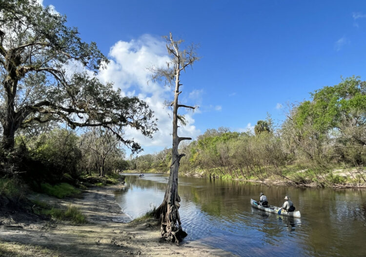 Canoeing on the Peace River in Florida just below Brownville Park in Arcadia. (Photo: Bonnie Gross)