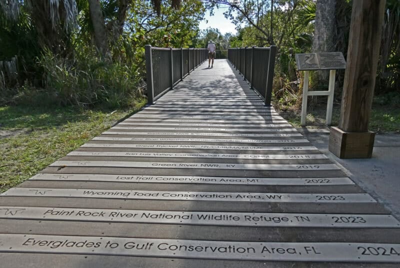 <strong>National Wildlife Refuges in Florida: 8 exceptional places</strong> 2 National Wildlife Refuges in Florida pelican island boardwalk db <strong>National Wildlife Refuges in Florida: 8 exceptional places</strong>