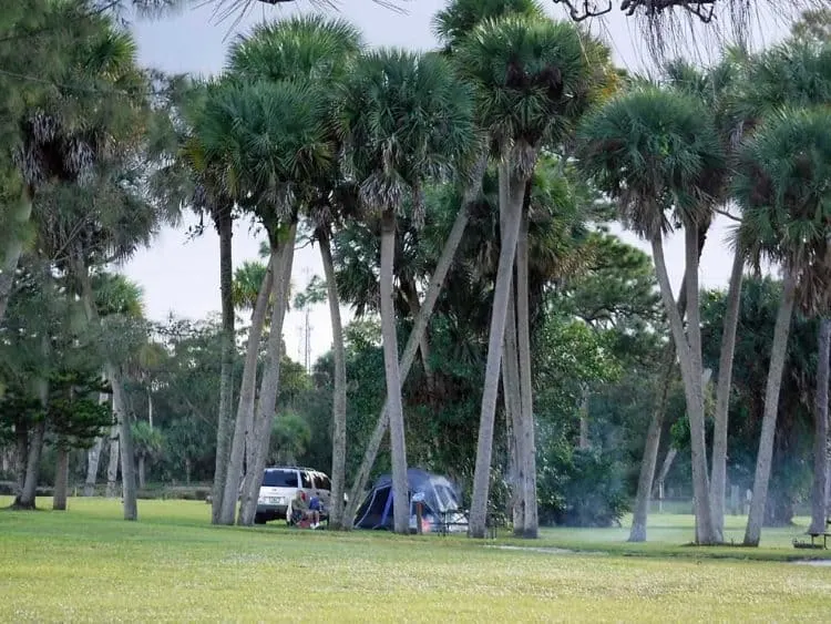 phipps park campground phipps tent site Phipps Park Campground in Stuart ideally suited for family outings