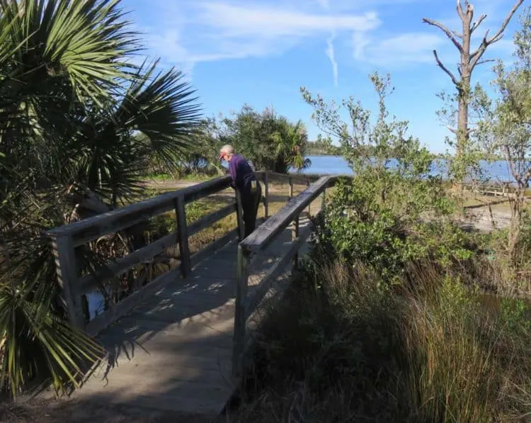 Princess Place Preserve: There are miles of trails here. (Photo: Bonnie Gross)