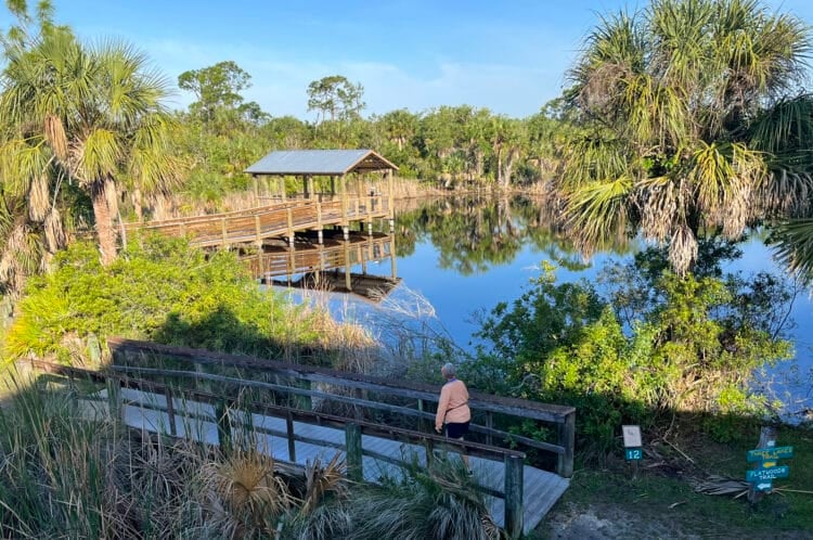Punta Gorda: Seven things to do for a perfect getaway itinerary 10 Alligator Creek Preserve has miles of trails where you will come to boardwalks, viewpoints over ponds and lots of birds and wildlife. (Photo: David Blasco)