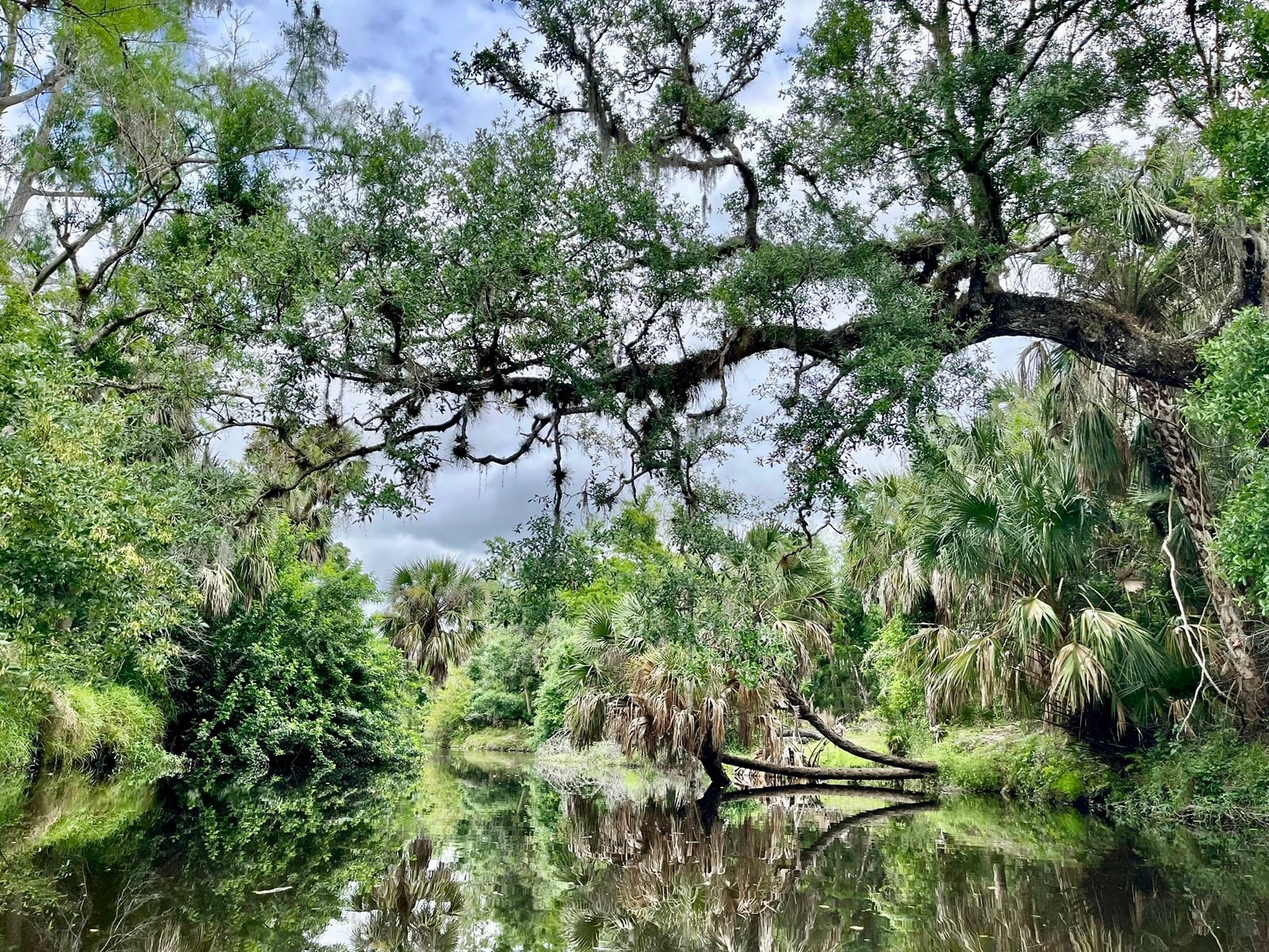 Prairie Creek in Punta Gorda has some exceptionally beautiful scenes. (Photo: Bonnie Gross)
