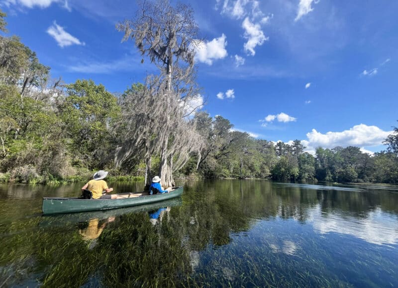 'Springs break:' 3 springs, 3 days; kayaking Florida's sparkling jewels 7 One of the outstanding featutres of the Rainbow River is the luxuriant healthy-looking eel grass waving in the clear waters. (Photo: Bonnie Gross)