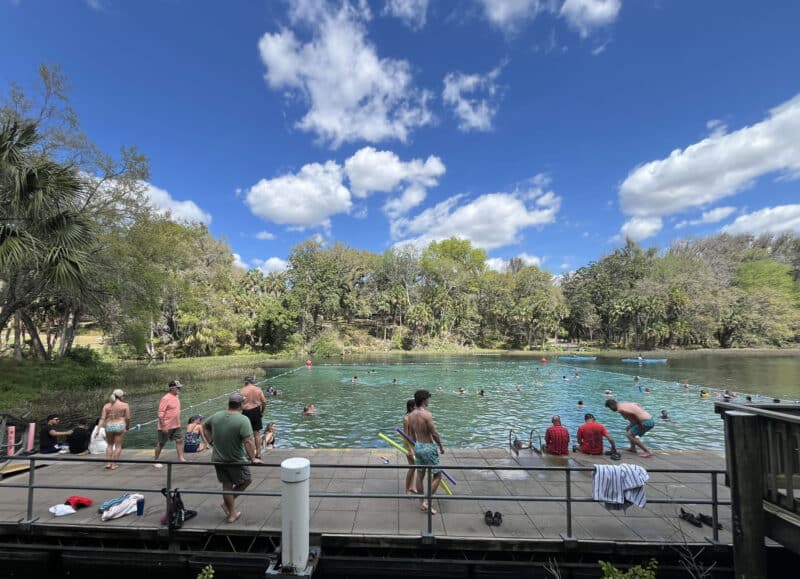 'Springs break:' 3 springs, 3 days; kayaking Florida's sparkling jewels 9 The swimming area at Rainbow Springs State Park has been improved since my last visit, with a deck for entering and leaving the spring. (Photo: Bonnie Gross)