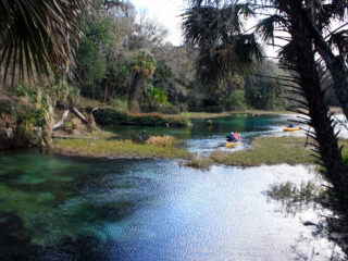 rainbow springs florida state parks with camping