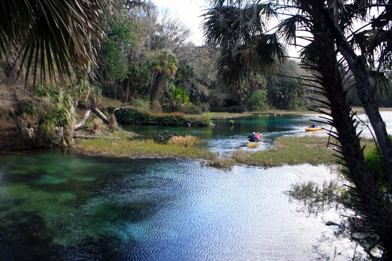 rainbow springs florida state parks with camping