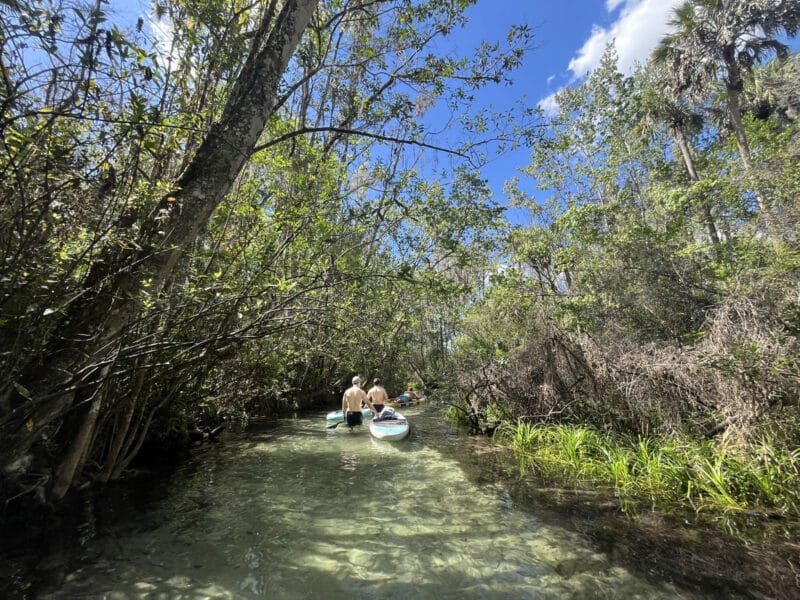 'Springs break:' 3 springs, 3 days; kayaking Florida's sparkling jewels 8 A very fun side trip on the Rainbow River is to paddle or wade up Indian Creek, a clear spring-fed stream with white sandy bottom. It can get crowded, so go early or on weekdays. (Photo: Bonnie Gross)