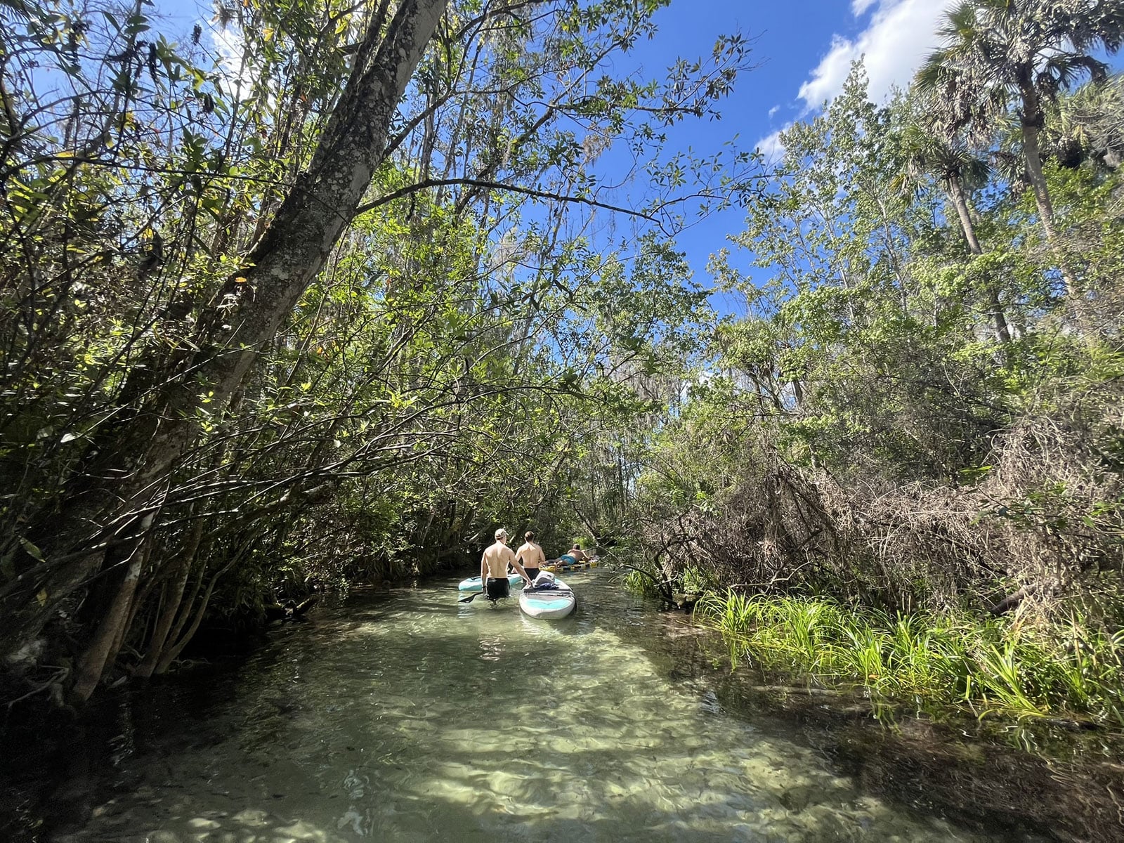 Springs break:' 3 springs, 3 days; exploring Florida jewels