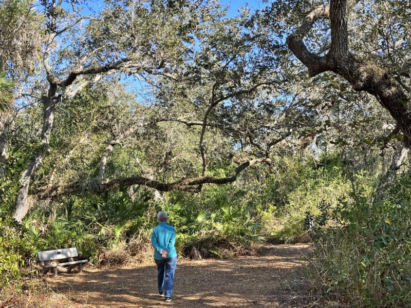 Kayaking Pine Island, an Old Florida island that development skipped 10 Shady trail along the Calusa Heritage Trail at Randell Research Center. (Photo: David Blasco)