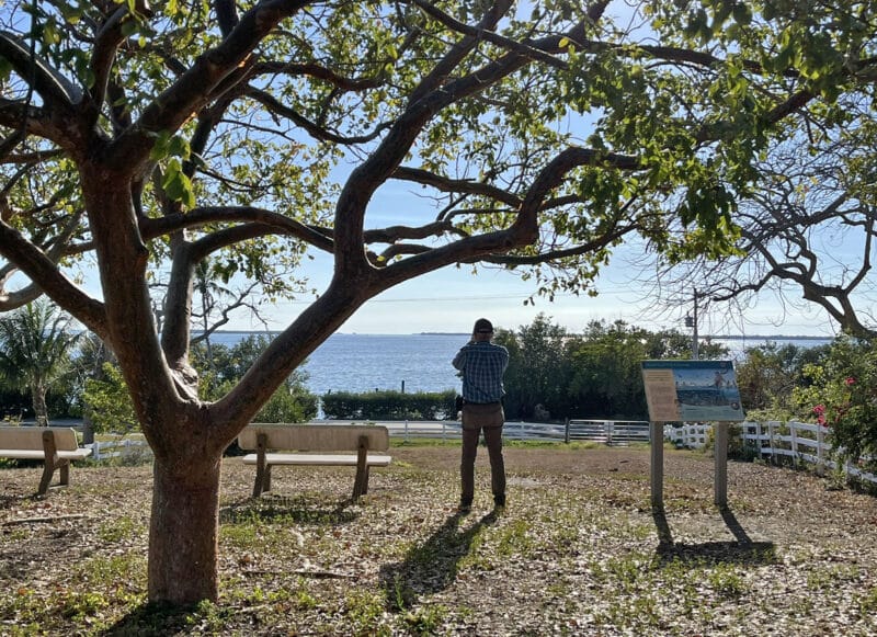 Kayaking Pine Island, an Old Florida island that development skipped 9 The view over the water from a Calusa Indian shell mound preserved at Randell Research Center on Pine Island. (Photo: Bonnie Gross)