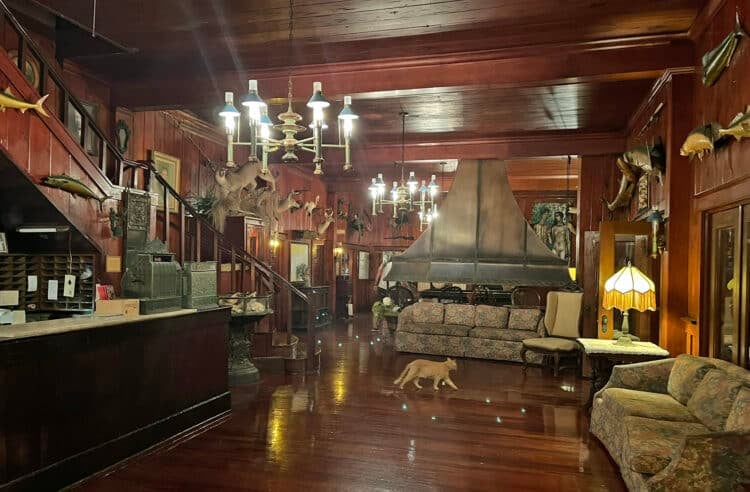 Take a perfect trip to Everglades City 8 The Everglades City Rod and Gun Club lobby has classic hunting lodge décor: All gleaming wood and stuffed animals. (Photo: Bonnie Gross)