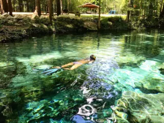 Snorkeling over a spring at Ginnie Springs. (Photo: Bonnie Gross)