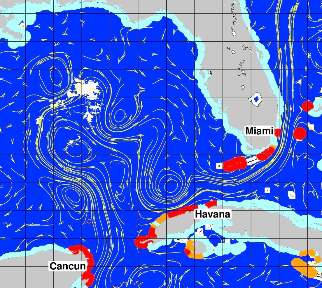 Sargassum seaweed report 1 sargassum seaweed sargassum map Sargassum seaweed report
