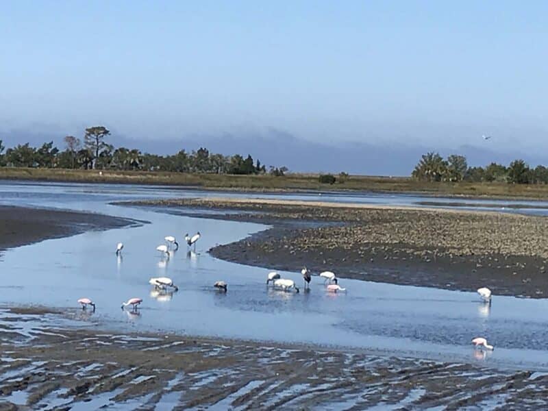 30 awesome county parks with camping | floridarambler.com