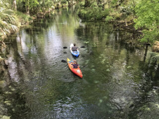 Kayaking in Orlando area: Silver River kayaking
