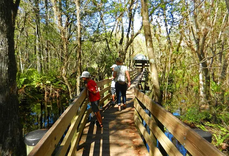 I-75 in Florida six mile slough family hike Florida road trip: 10 ways ways to find the real Florida 15 minutes off I-75