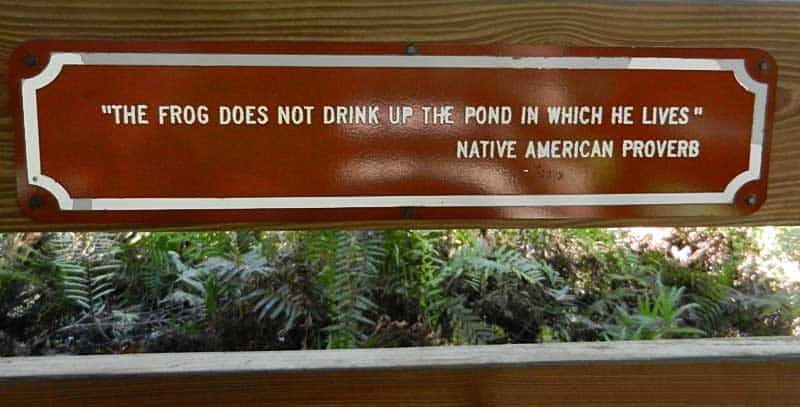 There are thought-provoking and inspirational signs sprinkeled along the boardwalk at Six Mile Cypress Slough Preserve in Fort Myers