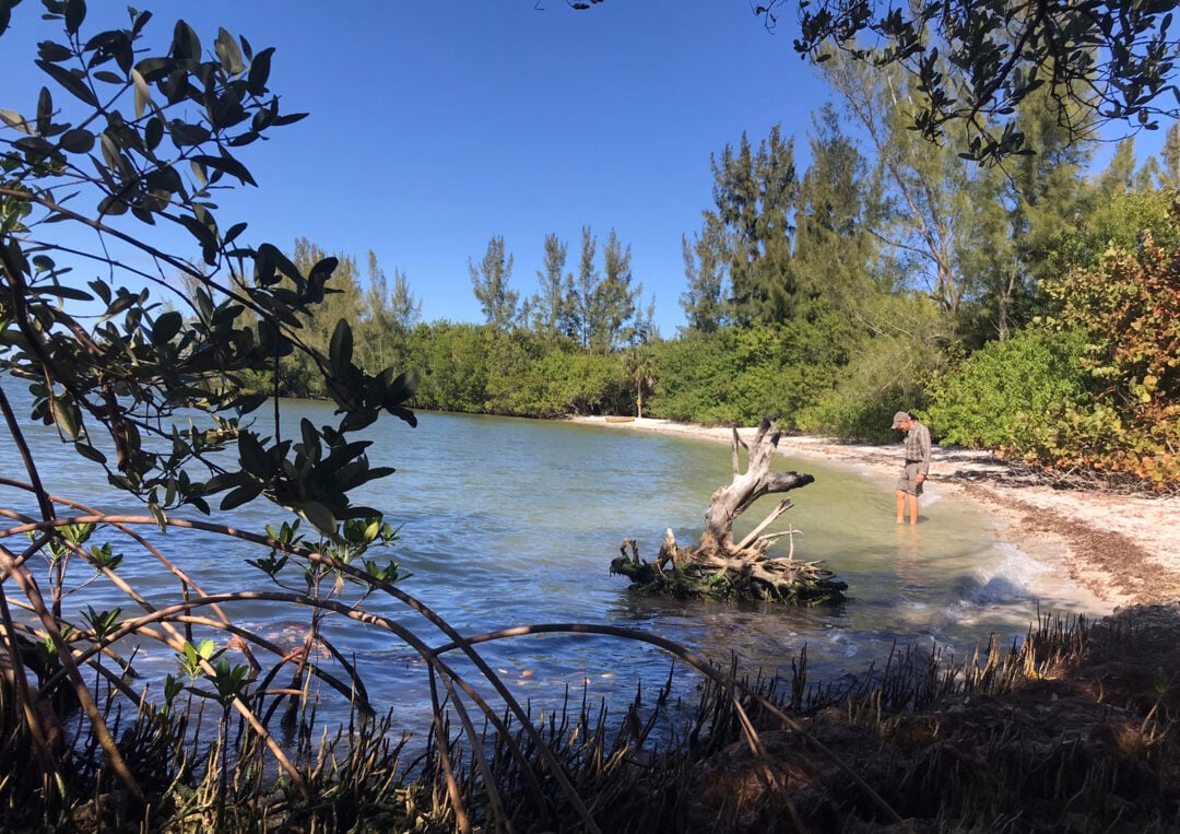 Kayaking the Indian River Lagoon Island hopping by kayak