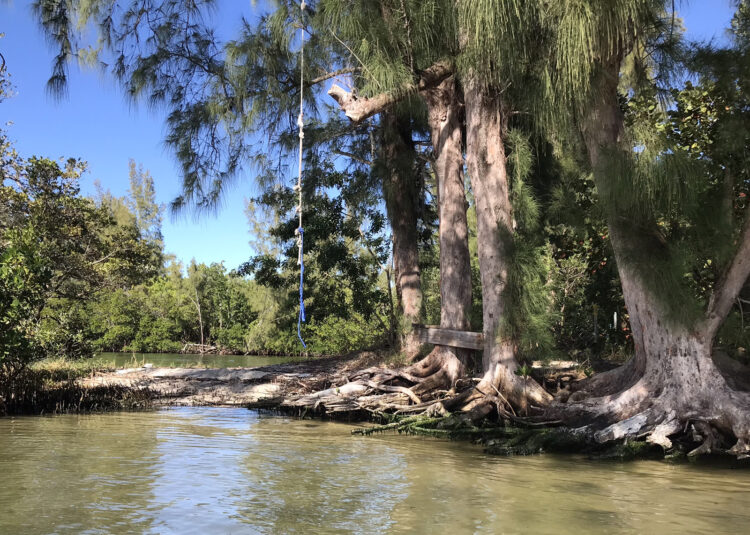 Kayaking the Indian River Lagoon: A rope swing on SL 13, a spoil island where camping in permitted in the Indian River Lagoon. (Photo: Bonnie Gross)