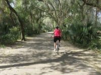 Spring to Spring Bike Trail in Central Florida: This shaded section is near Green Spring in Enterprise.