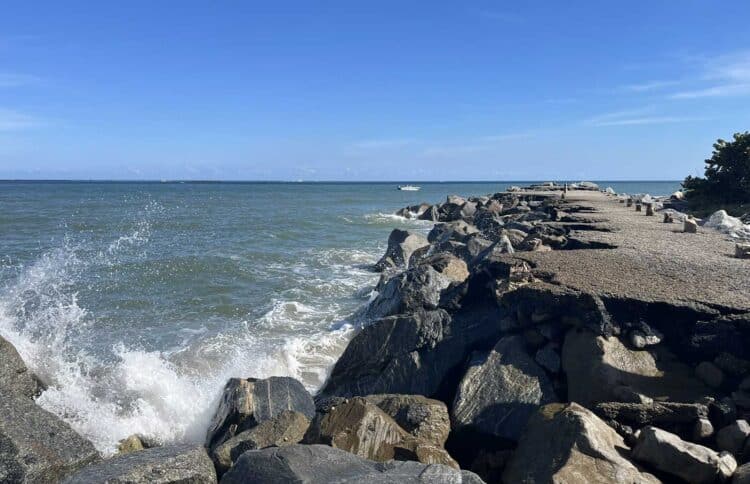 St. Lucie Inlet Preserve: Kayak to wild island and beach