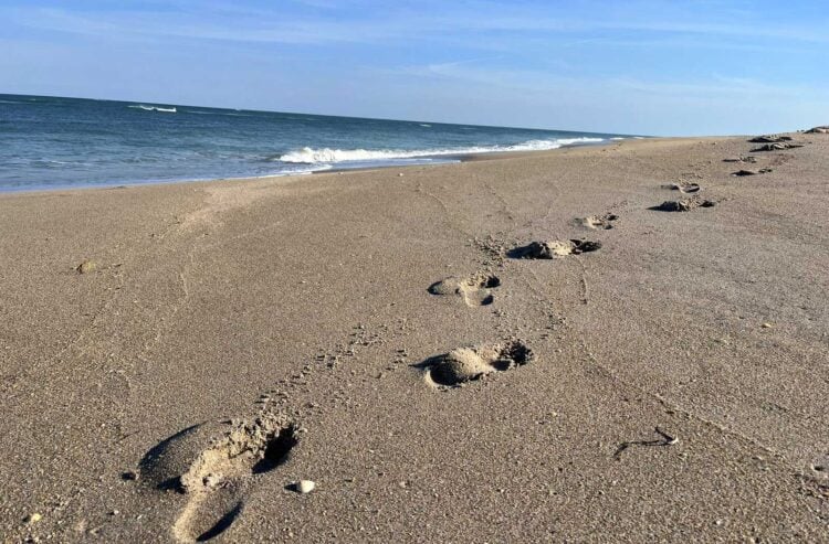 St. Lucie Inlet Preserve: Kayak to wild island and beach 1 There was one set of footprints on the wide expanse of perfect beach at St. Lucie Inlet Preserve in Stuart. (Photo: Bonnie Gross)