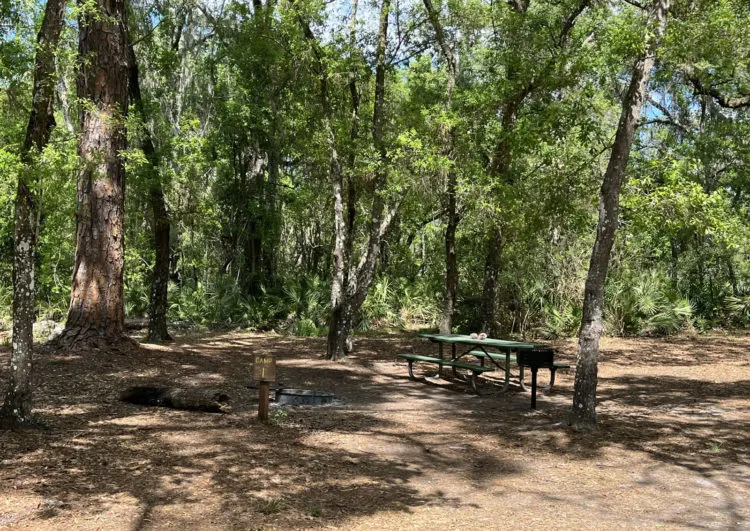 Camping near Tampa Bay: Campsite 1 at the Starkey Wilderness Park. (Photo: Bonnie Gross)