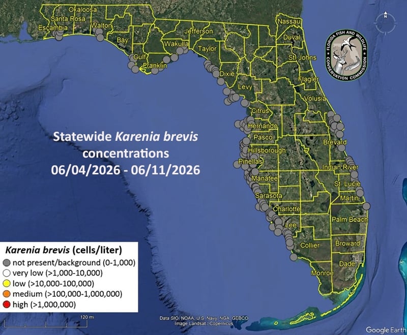 Red Tide Status Update 1 red tide statewidemap0612 Red Tide Status Update
