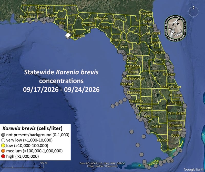 Red Tide Update 1 red tide statewidemap0925 Red Tide Update