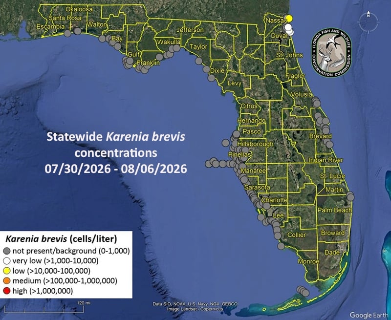 Red tide's return 1 red tide statewidewidemap0807 Red tide's return