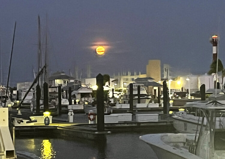 A full moon over the marina at the Perry Hotel on Stock Island. (Photo: Bonnie Gross)