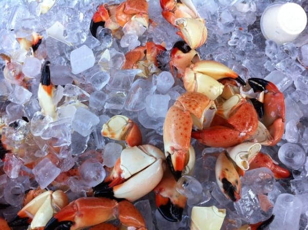 Florida Seafood Festivals Calendar 4 stone crabs