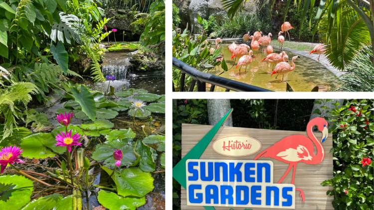 Things to do in St. Petersburg for an Old Florida flavor: The Sunken Gardens are more than 100 years old. (Photos: Bonnie Gross)
