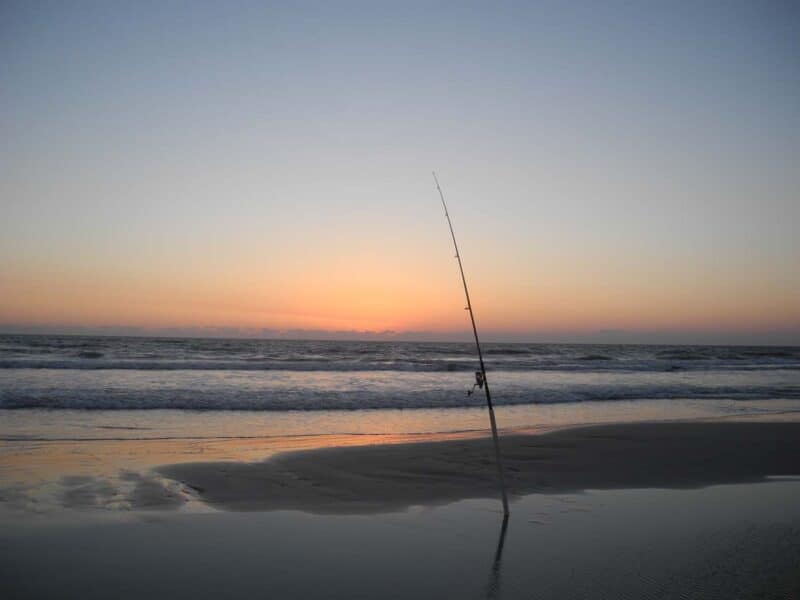 surf fishing florida at dawn
