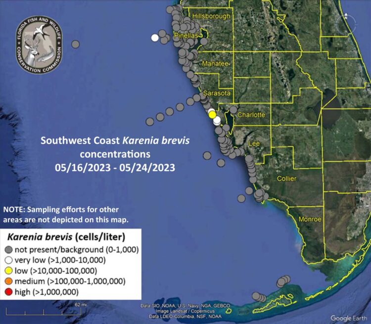 red tide swmap0524 Today's Red Tide forecast