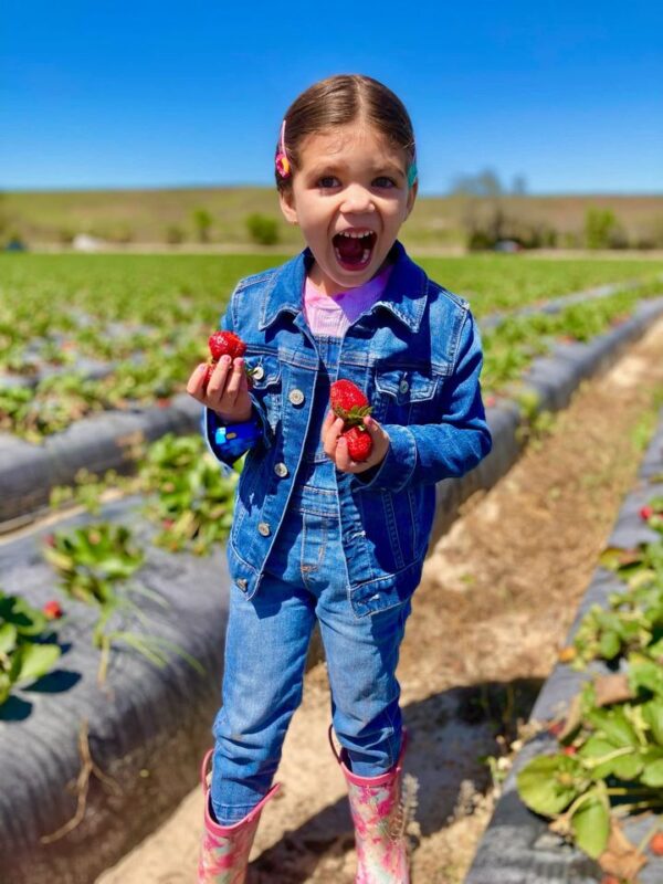 Kids have fun and parents like that the berries are organic at Strawberry Passion, a Florida u-pick farm in Thonotosassa. Photo courtesy of Strawberry Passion.