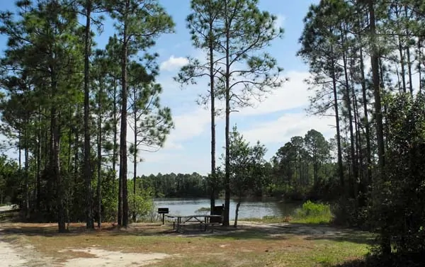 Bear Pond picnic area at Tiger Bay State Forest