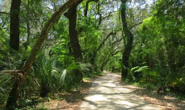 National parks in Florida: Roads and trails through the Timucuan Preserve pass through an Old Florida landscape. (Photo: Bonnie Gross)