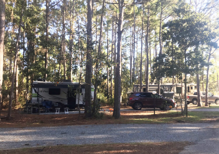 Campsite at  Cabin at Topsail Hill Preserve State Park. (Photo: Bonnie Gross) 